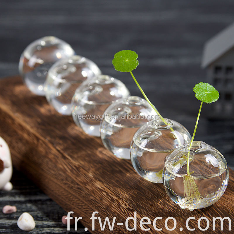 Vases en verre conjointe Bude en verre transparent vase conjointe pour les fleurs courtes